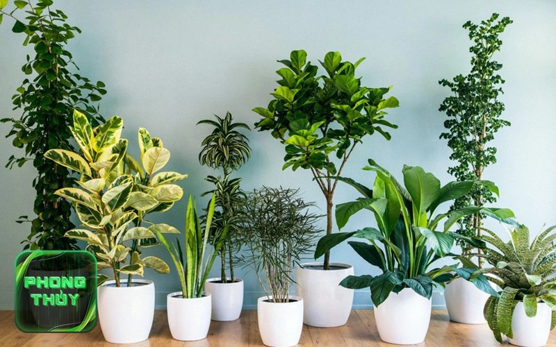 Đá phong thủy mệnh Thủy - Thạch anh trắng