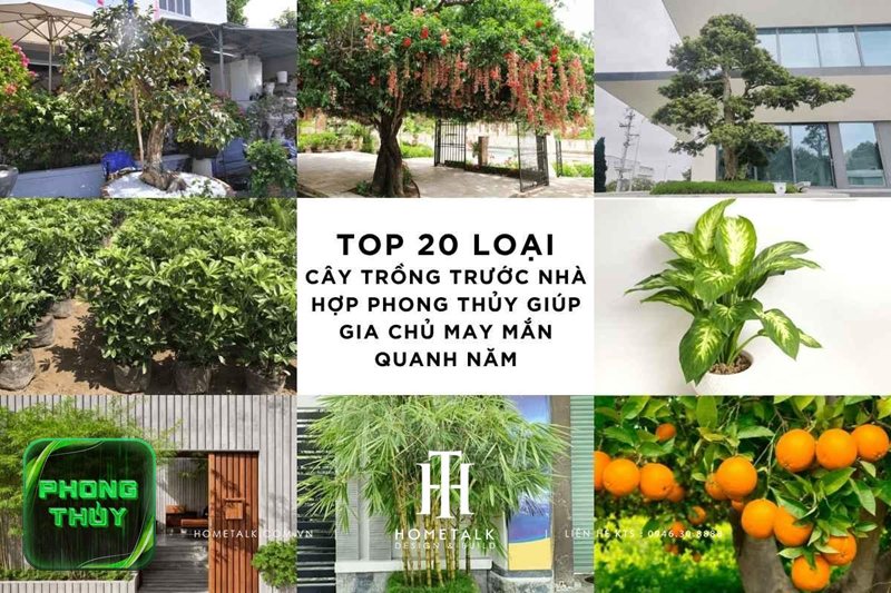 Phong thủy phòng ngủ mệnh Hỏa - Hướng Nam