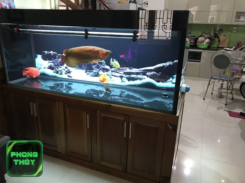Phong thủy quán cà phê mệnh Mộc - Màu sắc, vật liệu và ánh sáng hợp mệnh Mộc Phong thủy quán cà phê mệnh Mộc - Màu sắc, vật liệu và ánh sáng hợp mệnh Mộc
