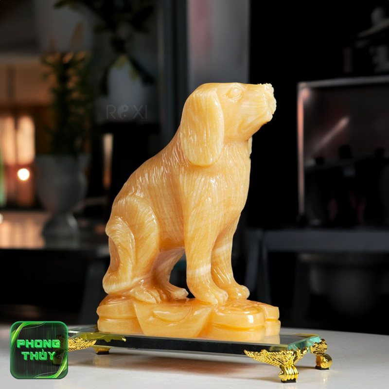 Tuổi Dần hợp mệnh Kim - Đặc điểm tuổi Dần khi kết hợp với người mệnh Kim Tuổi Dần hợp mệnh Kim - Đặc điểm tuổi Dần khi kết hợp với người mệnh Kim