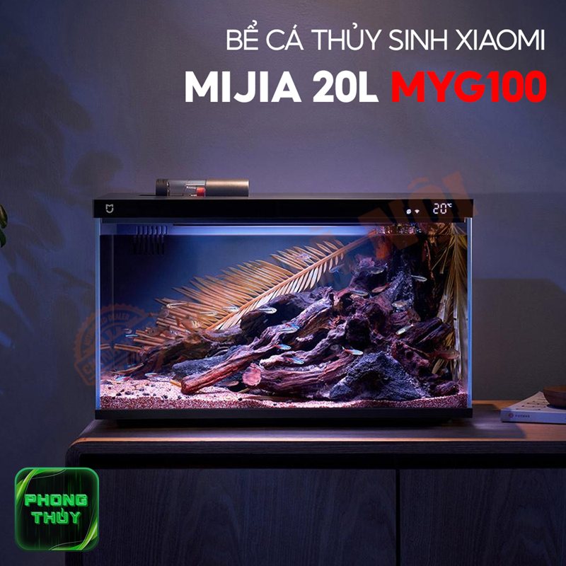 Tuổi Mão hợp mệnh Kim - Tuổi Mão hợp mệnh Kim được hiểu như thế nào? Tuổi Mão hợp mệnh Kim - Tuổi Mão hợp mệnh Kim được hiểu như thế nào?