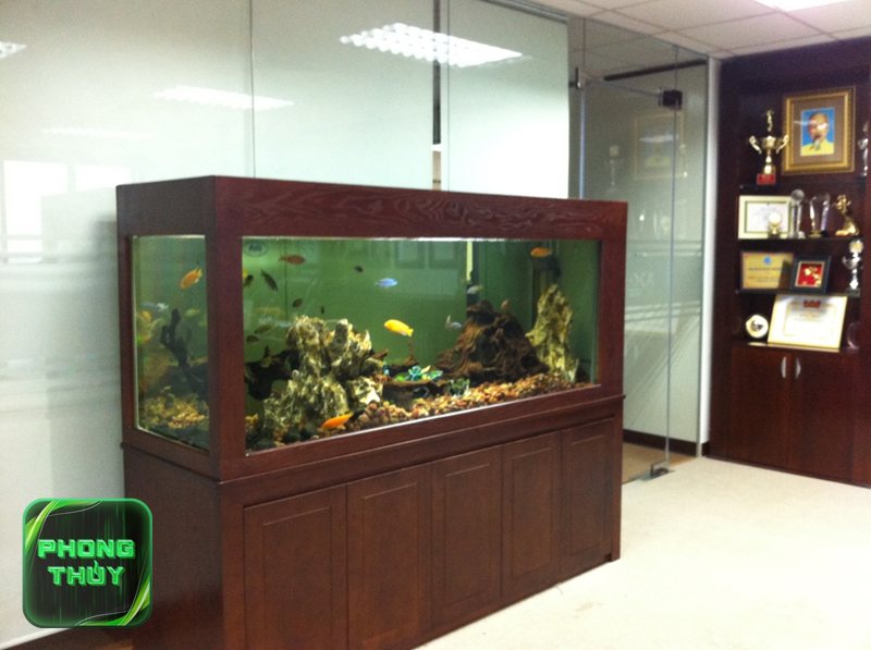 Tuổi Mão hợp mệnh Kim - Ngũ hành lý giải Tuổi Mão hợp mệnh Kim ra sao? Tuổi Mão hợp mệnh Kim - Ngũ hành lý giải Tuổi Mão hợp mệnh Kim ra sao?