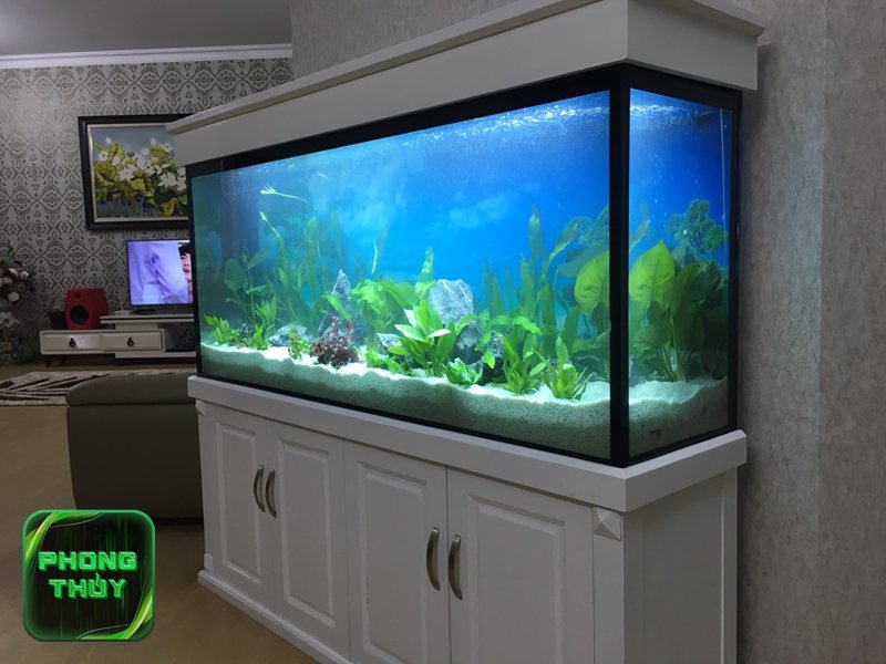 Tuổi Mão hợp mệnh Thổ - Các năm sinh tuổi Mão và ngũ hành Tuổi Mão hợp mệnh Thổ - Các năm sinh tuổi Mão và ngũ hành