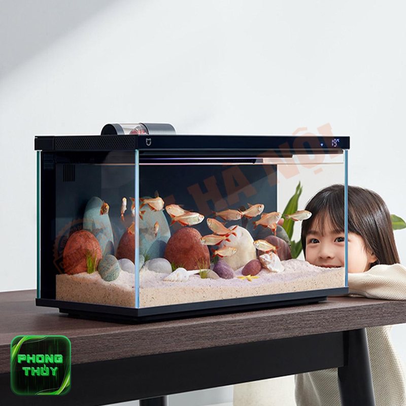 Tuổi Sửu hợp mệnh Kim - Các năm tuổi Sửu và mệnh ngũ hành tương ứng Tuổi Sửu hợp mệnh Kim - Các năm tuổi Sửu và mệnh ngũ hành tương ứng