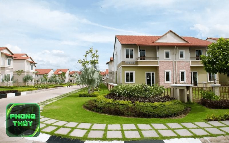 Tuổi Sửu hợp mệnh Mộc - Đặc điểm của người tuổi Sửu thuộc mệnh Mộc