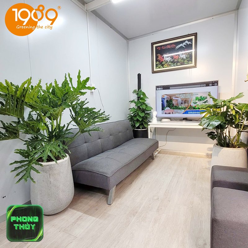 Tuổi Sửu hợp mệnh Mộc - Vật phẩm phong thủy phù hợp với tuổi Sửu mệnh Mộc